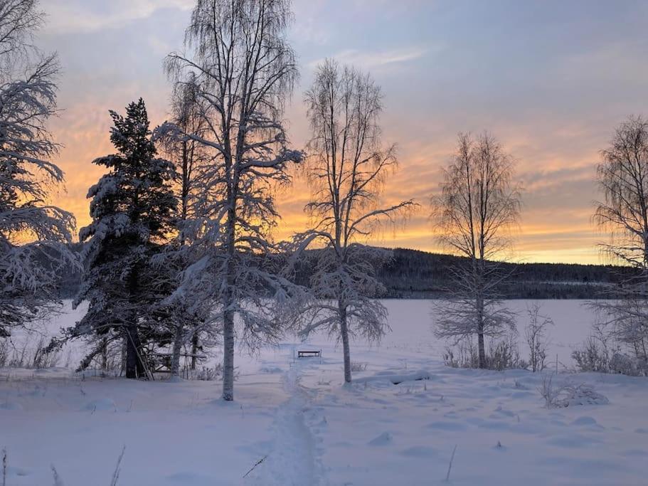 Lakeside Wilderness Cabin Jokkmokk Exterior photo